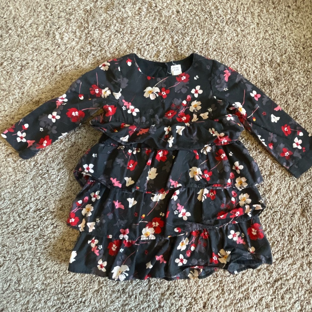 3T toddler girls dress bundle BabyGap and Tea Collection   |    2 pieces total - Picture 5 of 9